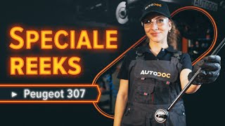 Hoe een vooraan stabilisatorstang vervangen op een PEUGEOT 307 SW AUTODOCTUTORIAL [upl. by Thurmann]