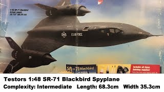 Large Scale Testors 148 SR71 Blackbird Spyplane Kit Review [upl. by Ing]