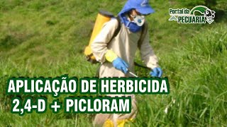 Aplicação de herbicida 24D  Picloram [upl. by Rodablas934]