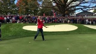 Golf Heckler Shows Up The Pros By Sinking Putt Complete With Victory Dance [upl. by Anneyehc]