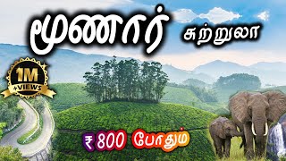 Munnar Tourist Places  மூணார் சுற்றுலா  Places to visit in Munnar Travel Vlog [upl. by Arikahs]