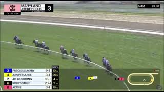 The Maryland Millions Ladies Stakes [upl. by Ulrike158]