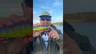 A MUST HAVE Lure for Autumn Pike Fishing pikefishing lurefishing fishing [upl. by Mordecai]