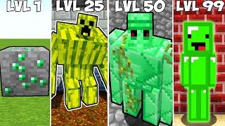 ⚠️ ZÜMRÜT SEVİYELERİ  Minecraft ⚠️ [upl. by Shira]