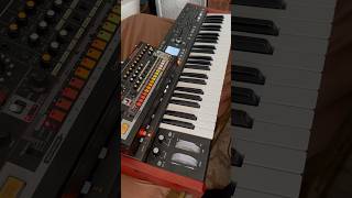 1980’s Afrika Bambaataa South Bronx beat on Roland TR08 and init patch on Deepmind 12 behringer [upl. by Neeroc912]