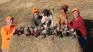 Small Water Ducks Big Prairie Roosters 8 Species [upl. by Tammany]