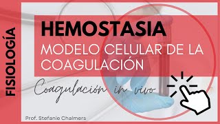 HEMOSTASIA modelo celular de la COAGULACIÓN loNUEVO FisiologíadelaCOAGULACIONINVIVO medicina [upl. by Golden]