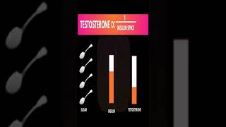 Low Testosterone Foods testosterone youtubeshorts shorts [upl. by Pegeen]