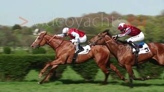 Slow Motion Race Horses Rennpferde Zeitlupe [upl. by Nesto475]