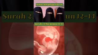 Human Embryology in the Quran  Surah Muminun Verse 1214 the sperm in to clot best creator Allah [upl. by Ridley]