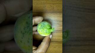 Small Rockmelon fruit cutting  aj bujhechi takar kache valobasa bertho shorts fruitcutting [upl. by Ezalb]