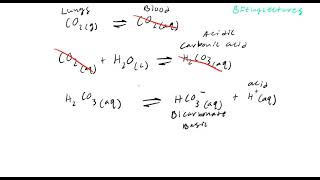 Biochemistry Lecture 3 Physiological Buffers [upl. by Aillemac]