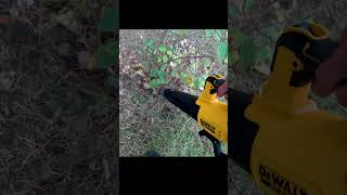 Dmuchawa do liści DeWalt XR DCMBL562N  leaf blower dewalt [upl. by Ardel]