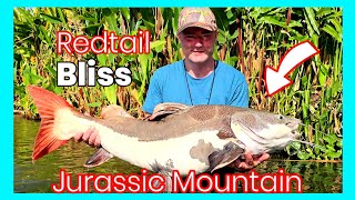 Fishing at Thailands Jurassic Mountain and Caught the BIGGEST Amazon Redtail Catfish [upl. by Sinylg]