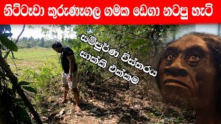 නිට්ටෑවා කුරුණෑගල ගමක ඩෙගා නටපු හැටි  Nittawa in Kurunegala area  Nava vlog 39 [upl. by El]