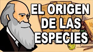 El origen de las especies de CHARLES DARWIN  MR RYAN  ESPECIAL 1K [upl. by Stevenson]