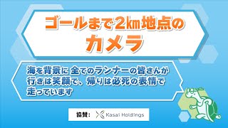 【2km】第42回瀬戸内海タートル・フルマラソン全国大会 [upl. by Nomde]