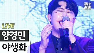 팬티 준비하고 들어야 할 박효신  야생화 양경민의 레전드 라이브 Cover Ι 아뮤소 14회 골방라이브  KoonTV [upl. by Denton]