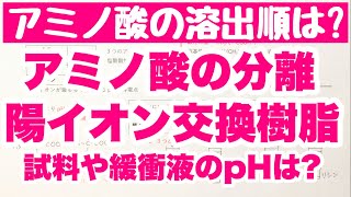 【改訂版 陽イオン交換樹脂によるアミノ酸の分離】アミノ酸の溶出する順番の決め方 等電点と陽イオンの関係 ゴロ化学 [upl. by Ellehcar]