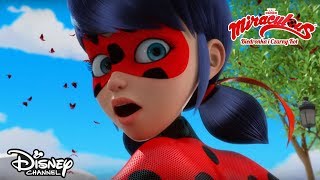 Biedronka kontra Władca Ciem  Miraculous Biedronka i Czarny Kot  Disney Channel Polska [upl. by Weissberg102]