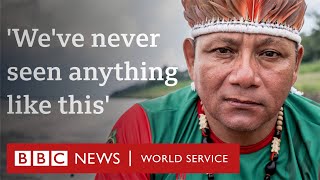 Crisis in the Amazon Will the largest rainforest in the world survive  BBC World Service [upl. by Eimmot]