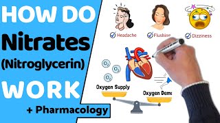 How Do Nitrates Work Nitroglycerin [upl. by Beale]