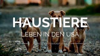 Leben in den USA Haustiere wie Hund Katze amp Co auf amerikanisch [upl. by Fremont]