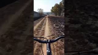 Riversands Farm hardtailmtb mtb mtbtrails myafricatoday strongaf strava fyp [upl. by Cornela]