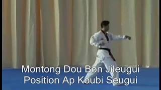 Taekwondo Poomsae 3 Taegeuk SamJang with description  Poumsé 3 avec descriptif 🇰🇷 [upl. by Padraig]