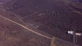 Flying over the vineyards of La Geria on Lanzarote Canary Islands Drone flight [upl. by Misab129]