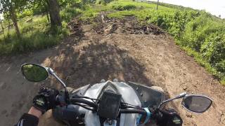 ATV  Jinling 250cc Drive and REV Limiter [upl. by Tenneb979]