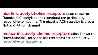 Ach Receptors  Nicotinic amp Muscarinic [upl. by Einned800]