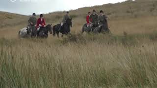 Deer hunt filmed chasing and whipping a stag [upl. by Pietrek]