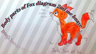 Body parts of Fox diagram 🦊shorts [upl. by Arem3]