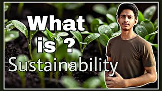 Sustainability in Hindi  What is Sustainability [upl. by Sidalg891]