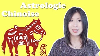 Signe Cheval  Quel est son sens dans la culture chinoise  Astrologie chinoise 生肖马 [upl. by Cozza]