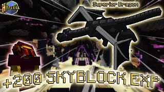 This Took 4 Days  Hypixel Skyblock SB Ep 60 [upl. by Rima200]