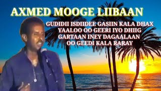 HEESTII GAASIRA AXMED MOOGE LIIBAAN qaaraami waayowaayosubscribe like [upl. by Nahsad]