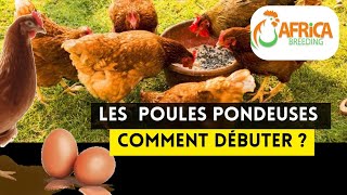 5 Étapes Pour Débuter lÉlevage des Poulets Pondeuses Facilement [upl. by Labinnah390]