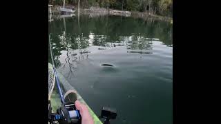 Look What Happens When He Sees My KAYAK pikefishing bassfishing fish fishing kayakfishing [upl. by Nosnorb]