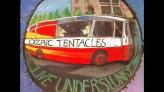 Ozric Tentacles  Bizarre Bazaar Live Underslunky 1992 [upl. by Hanway]