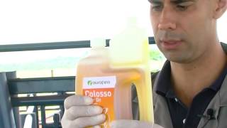 Como usar Colosso Pour On Para Carrapatos Sarna Larva Berne Pugas e Moscas [upl. by Woodie]