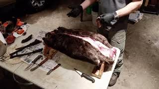 Beaver Skinning full length Fur Handling in the Trapping Shed [upl. by Yreneh781]