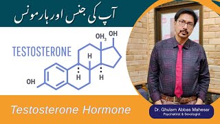 Testosterone Hormone in UrduHindi  Hormone balancing in UrduHindi [upl. by Lrae]