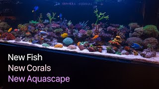 6 Month Old 300 Gallon Aquarium [upl. by Ecnesse]