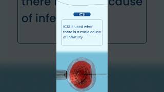 What is the difference between ICSI and IVF [upl. by Eeslehc819]