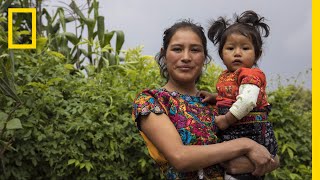 These Indigenous Women Are Saving Lives One Birth at a Time  Short Film Showcase [upl. by Adelind76]