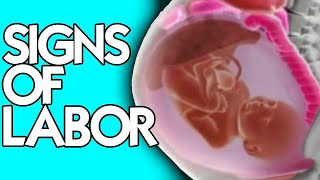 2 Signs of Labor from a Midwife Are You IN LABOR  Losing Mucus Plug vs Water Breaking [upl. by Nnadroj]