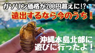 【ガソリン値上げ】遠出できるのは夏まで！？本格的な値上げ前に家族で思い出作り！ [upl. by Norraj453]