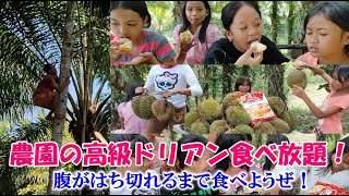 農園の秘密ドリアン畑でドリアン大量ゲット！食べまくれ！【フィリピンの山奥でねこと自給自足生活】猫なし [upl. by Arukas]